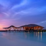 Maldive 7
